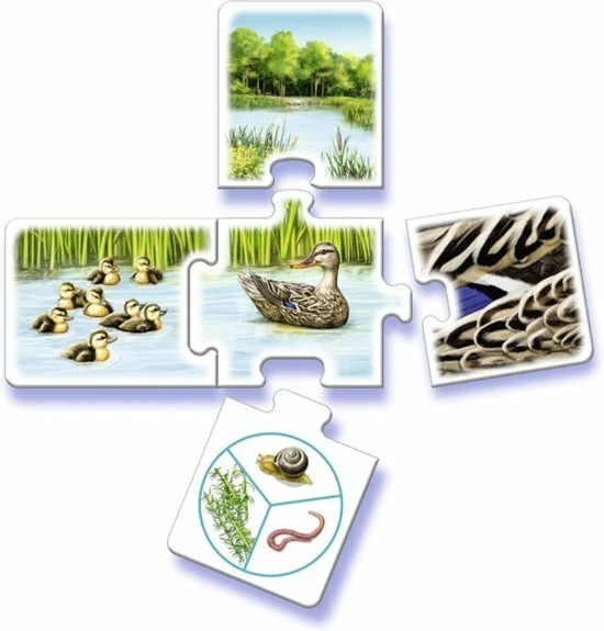 Tiptoi Spel - Al Mijn Dieren - Afbeelding 3