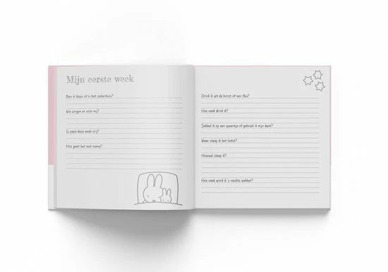 Boek Baby Eerste Jaar Nijntje: Roze - Afbeelding 5