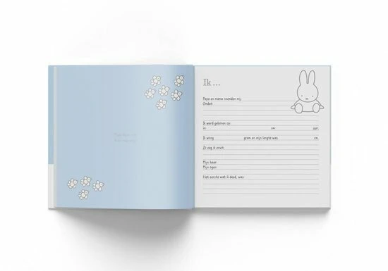 Boek Baby Eerste Jaar Nijntje: Blauw - Afbeelding 5