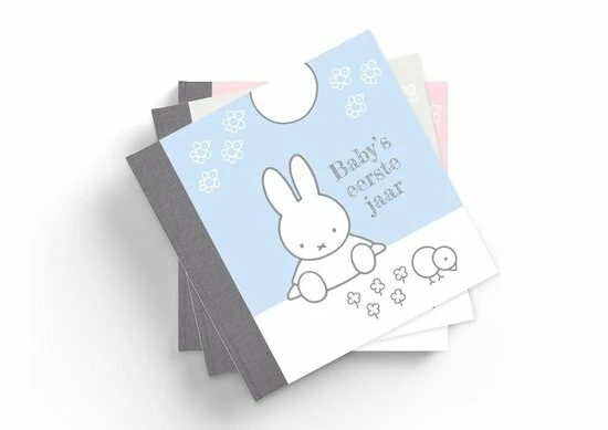 Boek Baby Eerste Jaar Nijntje: Blauw - Afbeelding 6