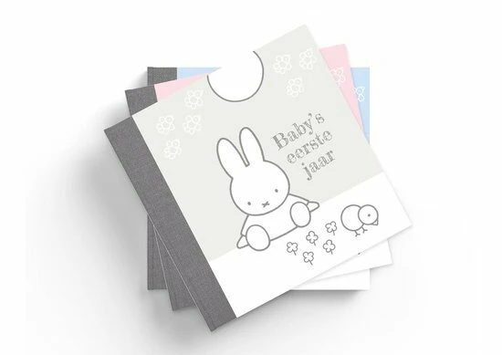 Boek Baby Eerste Jaar Nijntje: Zilver - Afbeelding 3