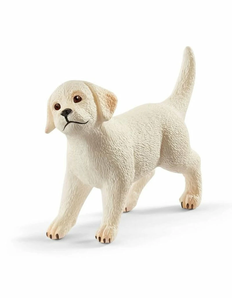 Schleich Puppy Kamer - Farm World 42480 - Afbeelding 4