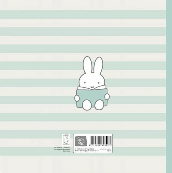 Boek Baby Eerste Jaar Nijntje: Mint - Afbeelding 2