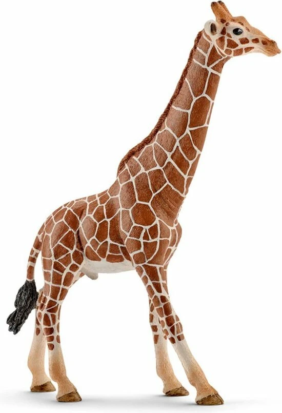 Schleich 14749 - Mannetjes Giraffe - Wild Life