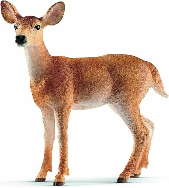 Schleich 14819 Witstaart Hinde Hert - Wild Life