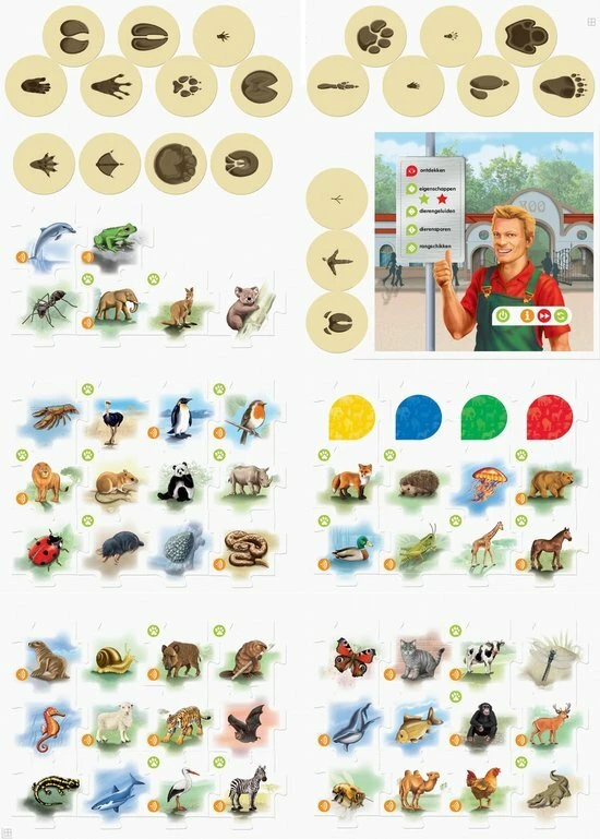 Tiptoi Spel- Avontuur In Het Dierenrijk - Afbeelding 3