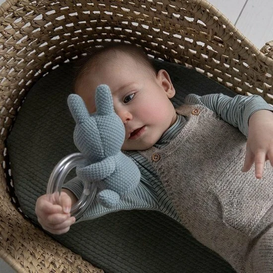 Nijntje ABC Ring Rammelaar - Groen - Afbeelding 2