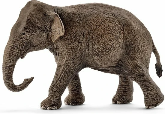 Schleich 14753 - Aziatische Olifant Vrouwtje - Wild Life