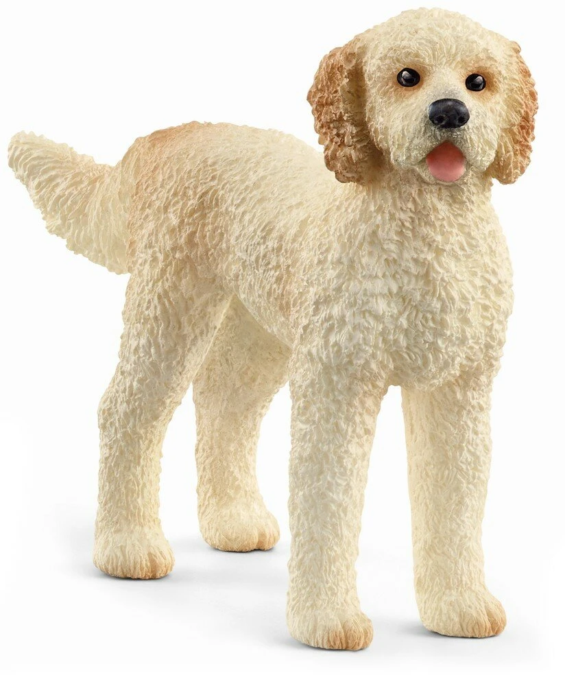 Schleich 13939 Hond - Goldendoodle - Farm World