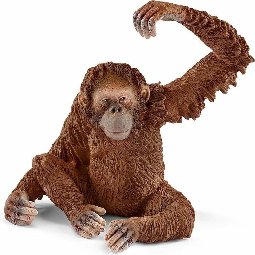 Schleich 14775 - Orang Oetang Vrouwtje - Wild Life - Afbeelding 2
