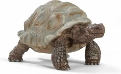 Schleich 14824 - Reuze Schildpad - Wild Life