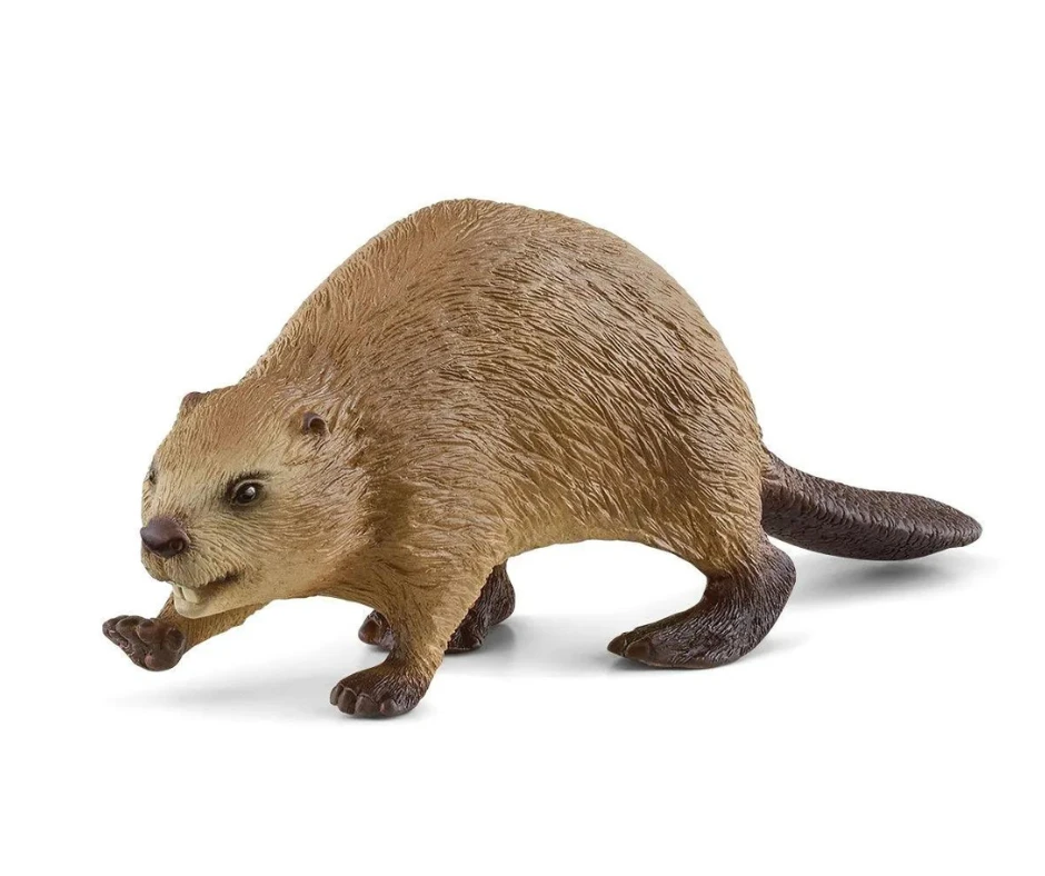Schleich 14855 Bever - Wild Life