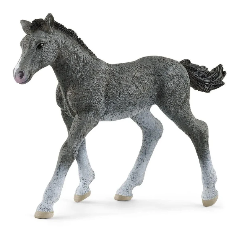 Schleich 13944 Trakehener Veulen - Horse Club