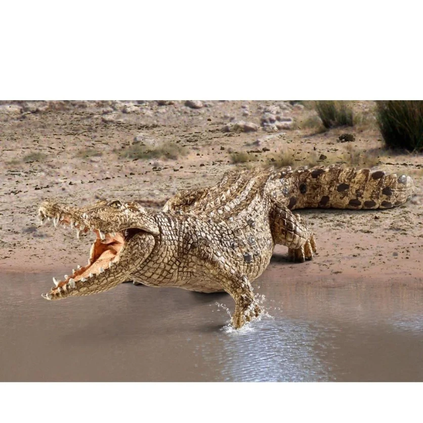 Schleich 14736 Krokodil - Wild Life - Afbeelding 3