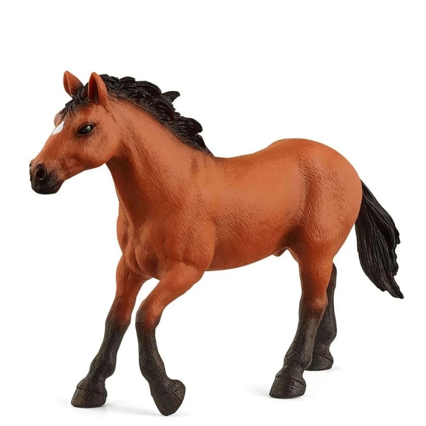 Schleich 72152 Exclusive - Appaloosa Hengst - Horse Club