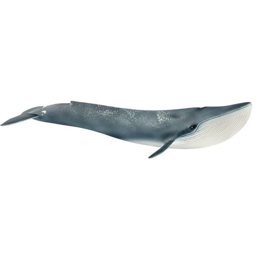 Schleich 14806 Blauwe Vinvis - Wild Life