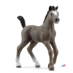 Schleich 13957 Selle Français-veulen - Horse Club