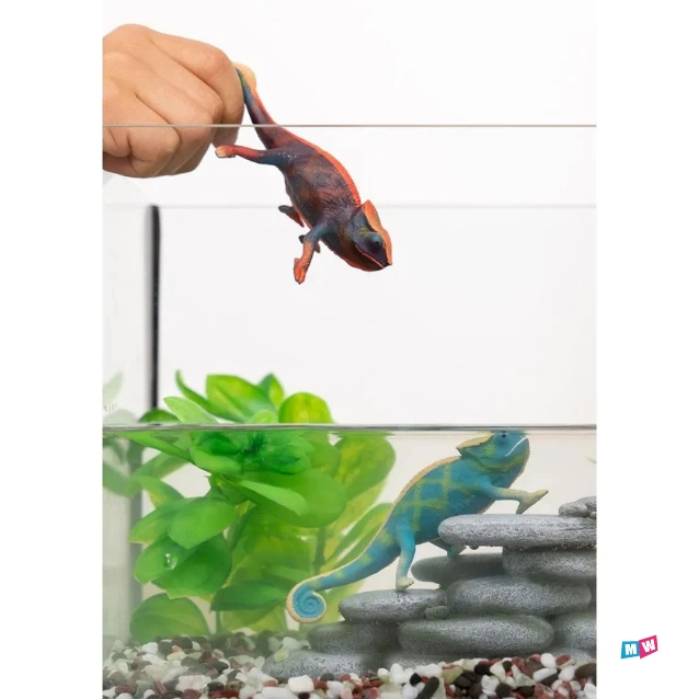 Schleich 14858 Kameleon - Wild Life - Afbeelding 2