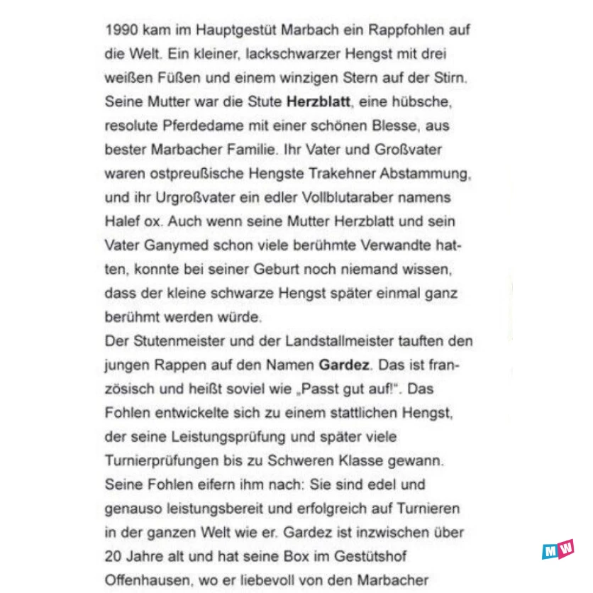 Schleich 84145 - Marbach Merrie Met Veulen - Afbeelding 6